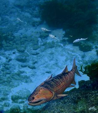 Un pez de hace 419 millones de años da nuevas pistas sobre la evolución